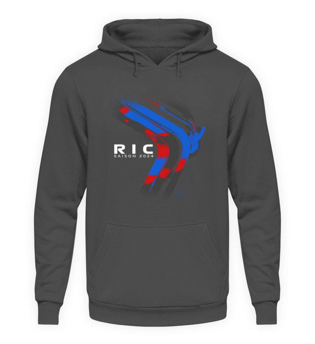 F1 Racing Daniel Ricciardo 2024 Limited Edition - Unisex Hoodie Hoodie Novawear Steel Grey (Solid) XS 